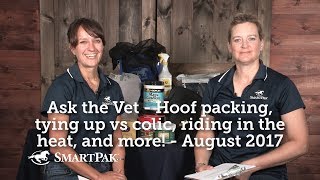 Ask the Vet - Hoof packing, tying up vs colic, riding in the heat, and more! - August 2017