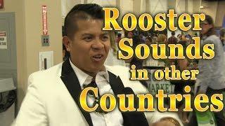 What Sound Does a Rooster Make in Asian Countries?