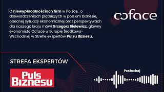 Grzegorz Sielewicz o niewypłacalnościach firm w Polsce