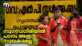 റെയ്ഞ്ചില്ല; സുഗന്ധഗിരിയില്‍ വിദ്യാര്‍ത്ഥികളുടെ പഠനം അവതാളത്തില്‍| Mathrubhumi News