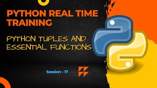 Python Tuples Explained Simply: Essential Functions for Beginners