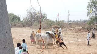 గోకవరం నాలుగుపల్లు 8వ జత