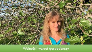 Wolność a wzrost i rozwój gospodarczy