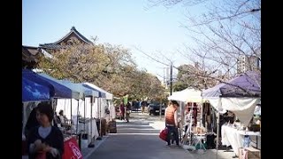 東別院　Meets Organic Market 2019.11.12