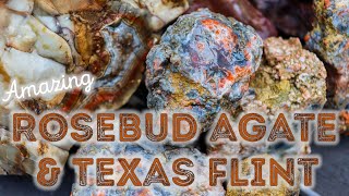 Beautiful Rosebud Agate and Intricate Texas Flint from an Amazing Rock Swap