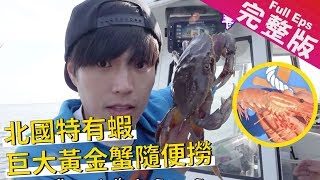 《世界第一等》761集【加拿大】百萬豪車便宜租/黃金蟹隨便撈/北國特有蝦種｜完整版