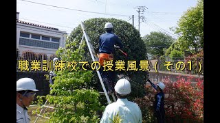 No.175_ 職業技術校2023上期まとめ(その1)