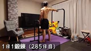 1日1鍛錬（285日目）ディップス\u0026インバーテッドロウ、背中鍛え、木刀素振り、倒立練習 2023/04/21