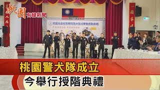 桃園有線新聞20241212-市警局警犬隊成軍 舉行授階典禮