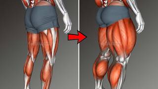 These 6 Leg Exercises Will Explode Your Leg Growth (Quads, Hamstrings & Calves Tutorial)