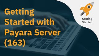 Getting Started with Payara Server (163)