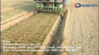 Automatic 8 Lane Onion Transplanter Machine