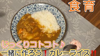 #食育#カレー#料理人 じっくりコトコト♪一緒に作ろう❗️カレーライス‼️ 子供の気持ちになって作ってもらえたら嬉しいです😊