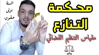 محكمة التنازع (مقياس التنظيم القضائي )