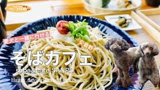 A restaurant in Azumino where you can eat delicious soba with your dog. soba\u0026cafe SANPO\