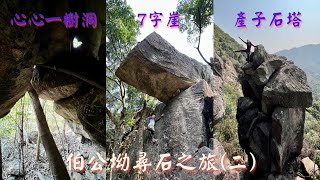 心心一樹洞｜M字洞｜7字崖｜隕石隧道｜視頻石窗｜產子石塔｜伯公坳尋石📸之旅 (二) [香港行山郊遊路線]