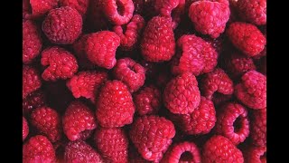 Raspberries 101-Herbs and Spices