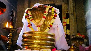 NAGOBA DARSHANAM - Nagoba Jatara | A Tribal Festival | Keslapur | Adilabad | Telangana