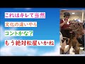 【2ch面白スレ】【悲報】まんさん「この店員の接客態度最悪。やる気ないなら帰れ（ﾊﾟｼｬ」