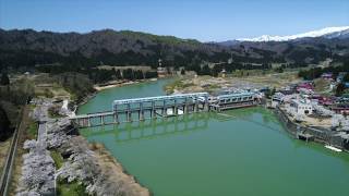 西会津町 上野尻発電所の桜