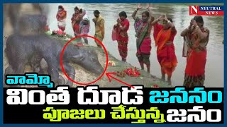 వామ్మో వింత దూడ జననం పూజలు చేస్తున్న జనం |Neutral news