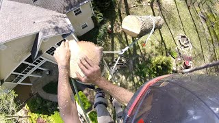 Double-Whip, Span-Rigging, & Speedlining / Rigging Techniques In Treework / Bout To Strangle Davie