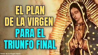 ¡Comenzó la Cuenta Atrás! Las Señales Inconfundibles del Triunfo del Inmaculado Corazón