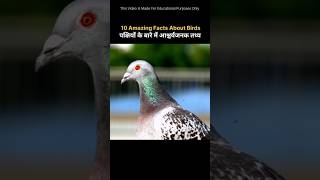 10 Amazing Facts About Birds 🦅🦜🦉🐦| पक्षियों के बारे में आश्चर्यजनक तथ्य #shorts #ytshorts