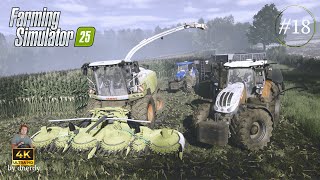 #18 | Claas Jaguar run | FS25 ReShade Gameplay