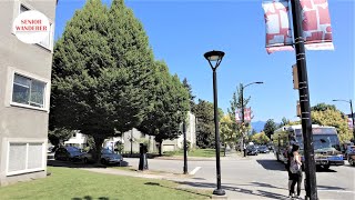 Vancouver street walk, EP249 - King Edward Station to 20th Avenue