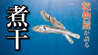 乾物屋が語る【煮干】煮干って何の魚？使い方は？栄養価は？うま味成分の相乗効果とは？　#39　TOWAMANチャンネル