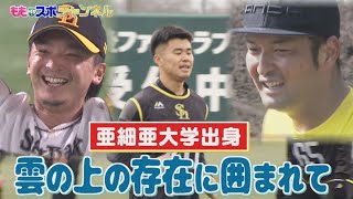 亜細亜大学出身！先輩は「雲の上の存在」即戦力左腕としてキャンプA組スタート！いい球投げてます　#テレビ西日本　#松本晴 #sbhawks #ホークス