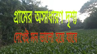 #istikamrul#vlogs#   গ্রামের অসাধারণ দৃশ‍্য।দেখেই মন ভালো হয়ে যাবে।প্রাকৃতিক দৃশ‍্য।village scenery.