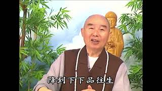 (393)真想住生極樂該怎麼做?-淨空法師(粵語配音)法音普薰集