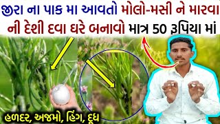 જીરા ના પાક મા આવતો મોલો-મસી ને મારવા ની દેશી દવા ઘરે બનાવો માત્ર 50 રૂપિયા માં, 100% રીઝલ્ટ