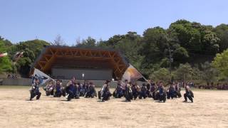 20150505川棚くじゃく祭り長崎大学突風①