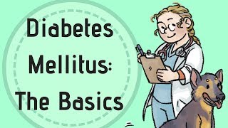 Introduction to Diabetes Mellitus