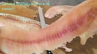 Как разделать щуку. Щука на филе за пять минут. #щуканафиле #какразделатьщуку