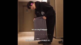 a cute little han jisung 🦫