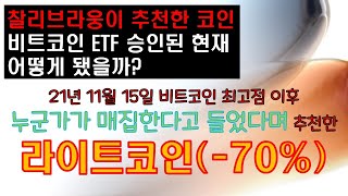 7. 찰리브라웅이 추천한 코인은 어떻게 됐을까? #찰리브라웅 #비트코인 #라이트코인