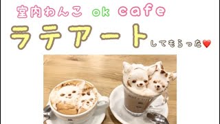 【チワワとカフェ巡り】ラテアートが可愛いお洒落なお店【わんこ室内ok】