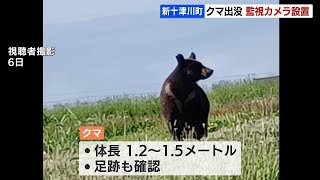 河川敷の監視カメラで警戒　体長1.5メートルほどのクマ　北海道新十津川町