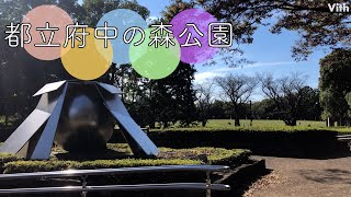 東京・府中市浅間町１丁目にあるスポーツ公園【都立府中の森公園】