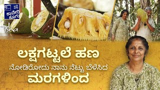 ಹೇಮಾ ಅನಂತ್ ರವರ ಕಾಡು ಕೃಷಿ ಭಾಗ  3 | Hema Ananth's Forest Farm part 3