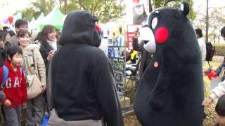 くまモン　生き別れの兄弟。。。　2011 11 27