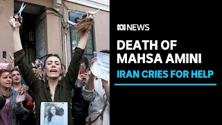 Iran's government restricts access to internet as protests continue for a fifth day | ABC News