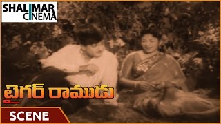 Tiger Ramudu Movie || N.T.R With Raja Sulochana Love Scene || Shalimaarcinema