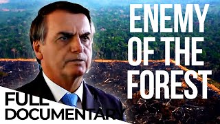How Brazil is Fighting Against Bolsonaro's Policies | Amazon | Deforestation | ENDEVR Documentary