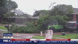 High winds topple trees in North Texas