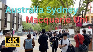 【4K Walk】Walking at Macquarie University in the rain in Australia Sydney 2023